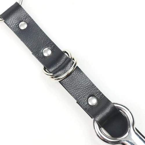 Anal Collar 5853 with EverydayUse Kinky and Leash Hook 0908